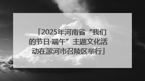 2025年河南省“我们的节日·端午”主题文化活动在漯河市召陵区举行